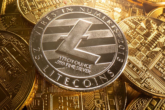 Il Litecoin cala del 11% in ribasso